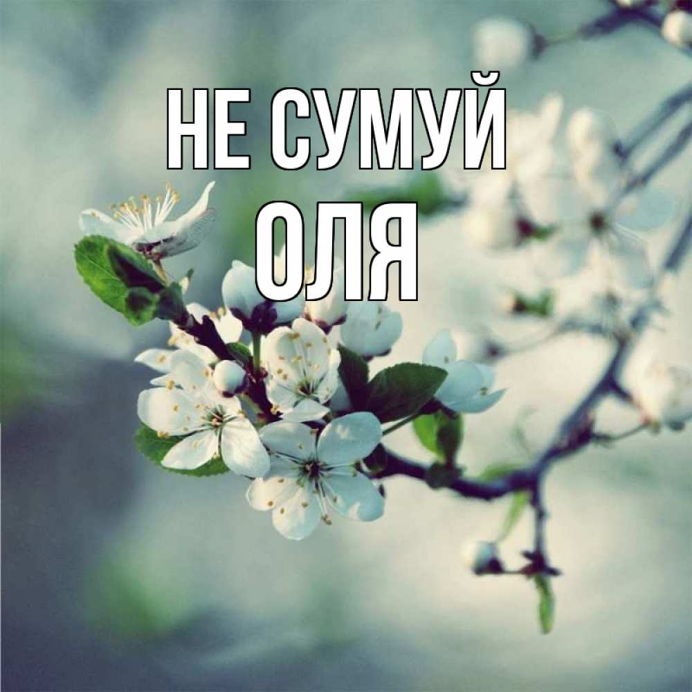 Открытка на каждый день з підписом, Оля Не сумуй яблоня в цвету 1 Прикольна листівка з побажанням онлайн скачати безкоштовно 