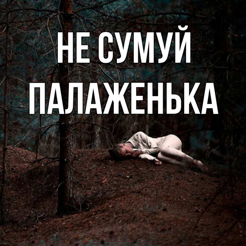 Открытка на каждый день з підписом, Палаженька Не сумуй лес Прикольна листівка з побажанням онлайн скачати безкоштовно 
