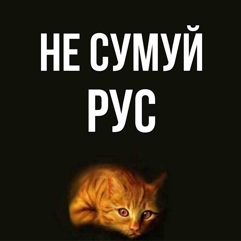 Открытка на каждый день з підписом, Рус Не сумуй лежащий кот в темноте Прикольна листівка з побажанням онлайн скачати безкоштовно 