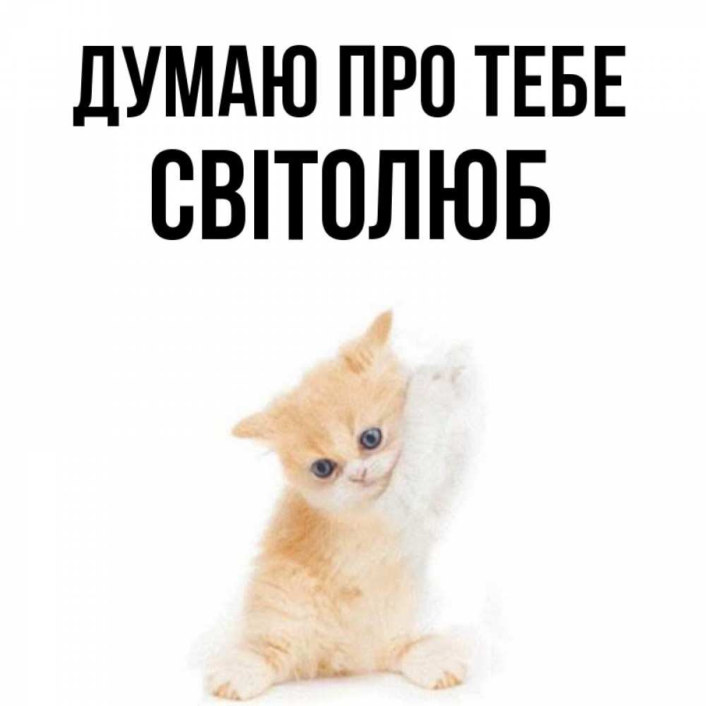Открытка на каждый день з підписом, Світолюб Думаю про тебе зверушки и милота Прикольна листівка з побажанням онлайн скачати безкоштовно 