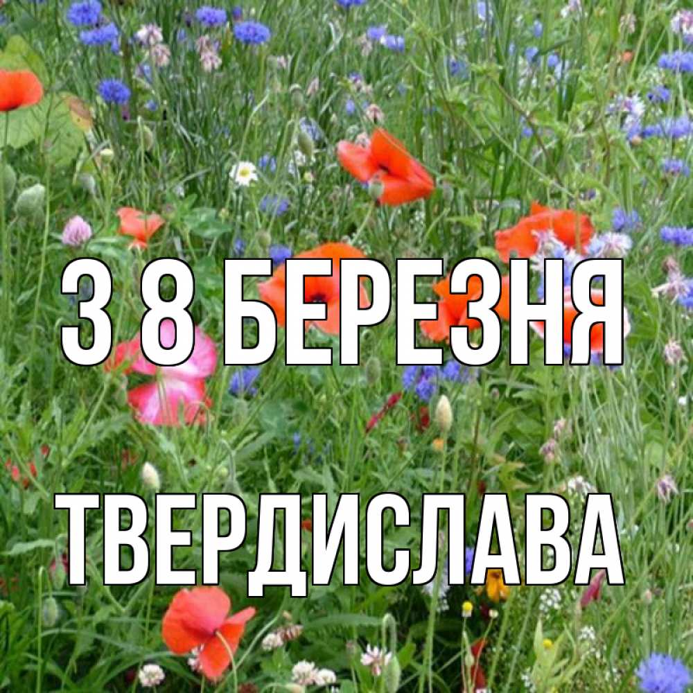 Открытка на каждый день з підписом, Твердислава З 8 БЕРЕЗНЯ международный женский день 4 Прикольна листівка з побажанням онлайн скачати безкоштовно 
