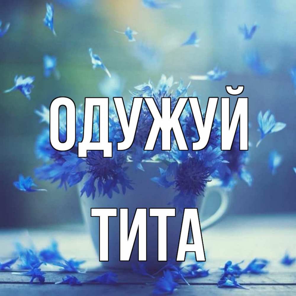 Открытка на каждый день з підписом, Тита Одужуй кружка с зельем и цветами Прикольна листівка з побажанням онлайн скачати безкоштовно 