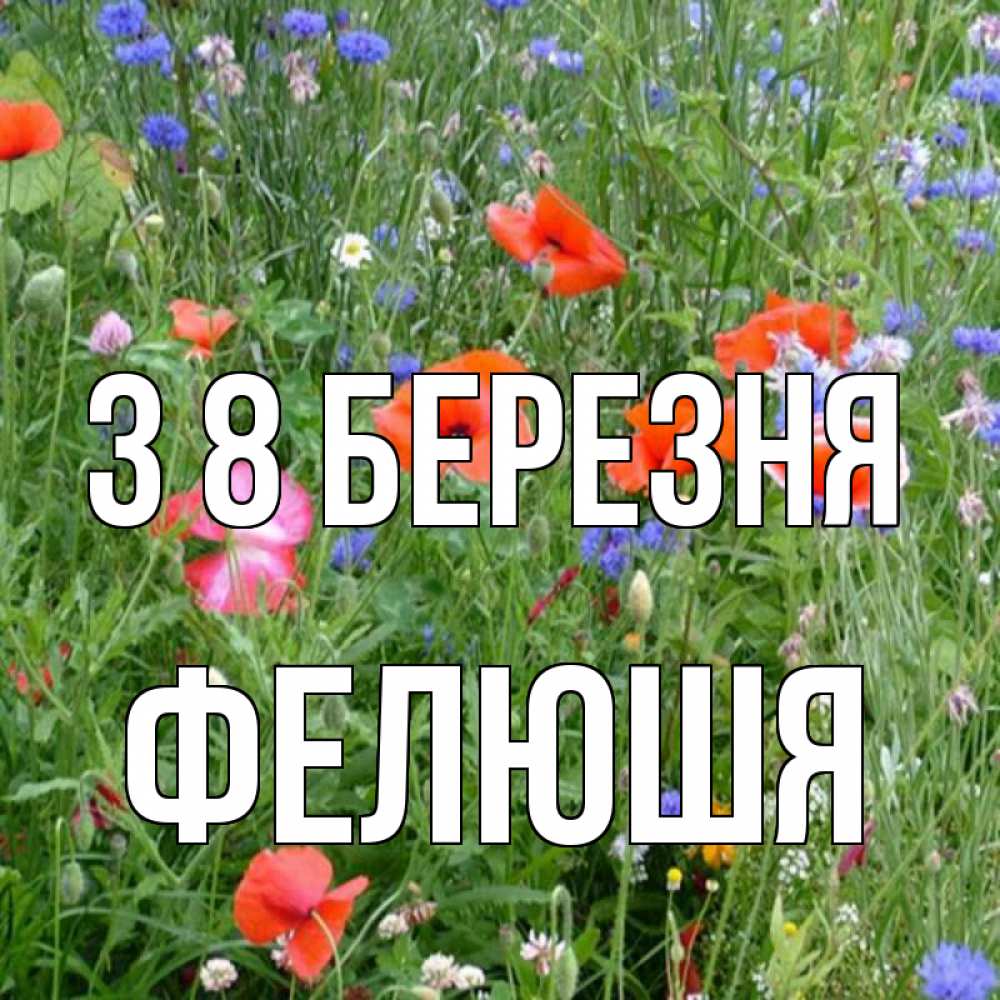 Открытка на каждый день з підписом, Фелюшя З 8 БЕРЕЗНЯ международный женский день 4 Прикольна листівка з побажанням онлайн скачати безкоштовно 