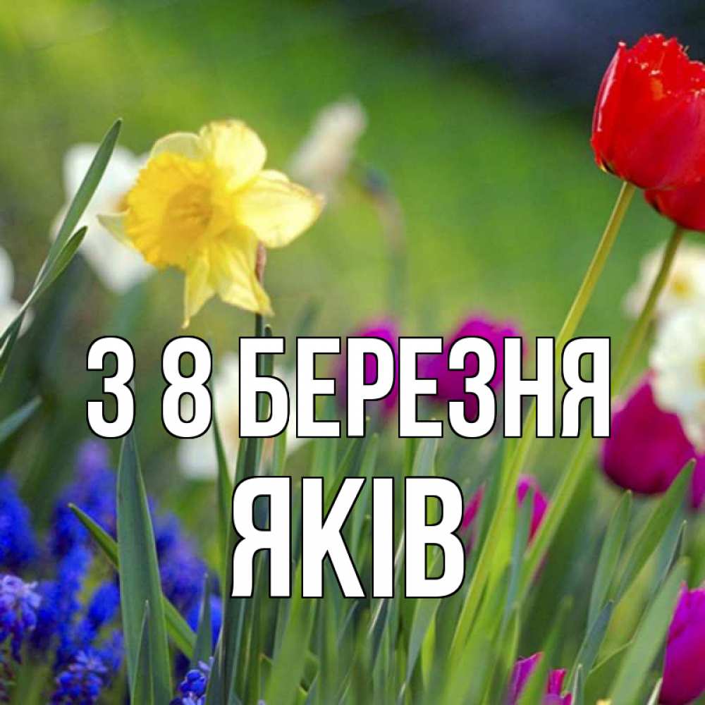 Открытка на каждый день з підписом, Яків З 8 БЕРЕЗНЯ международный женский день 3 Прикольна листівка з побажанням онлайн скачати безкоштовно 