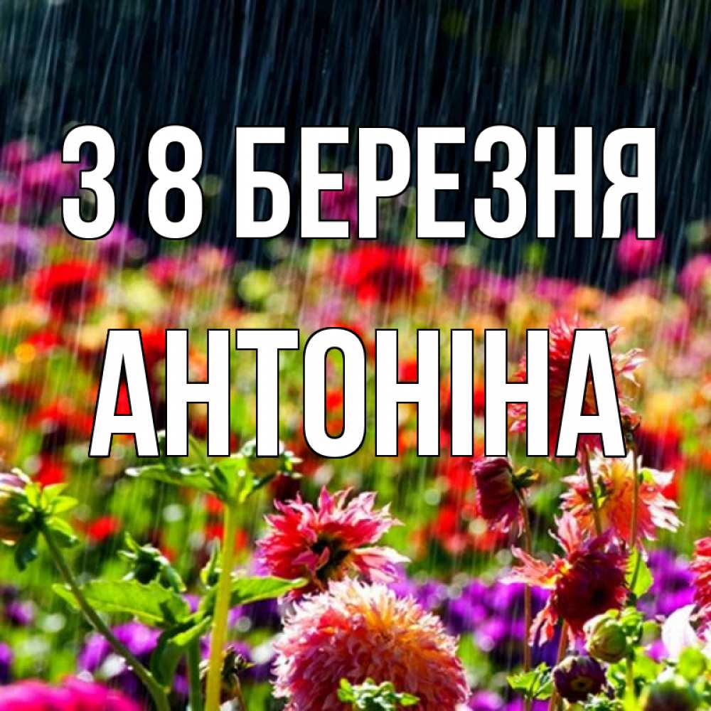 Открытка на каждый день з підписом, Антоніна З 8 БЕРЕЗНЯ цветы под дождиком к международному женскому дню Прикольна листівка з побажанням онлайн скачати безкоштовно 