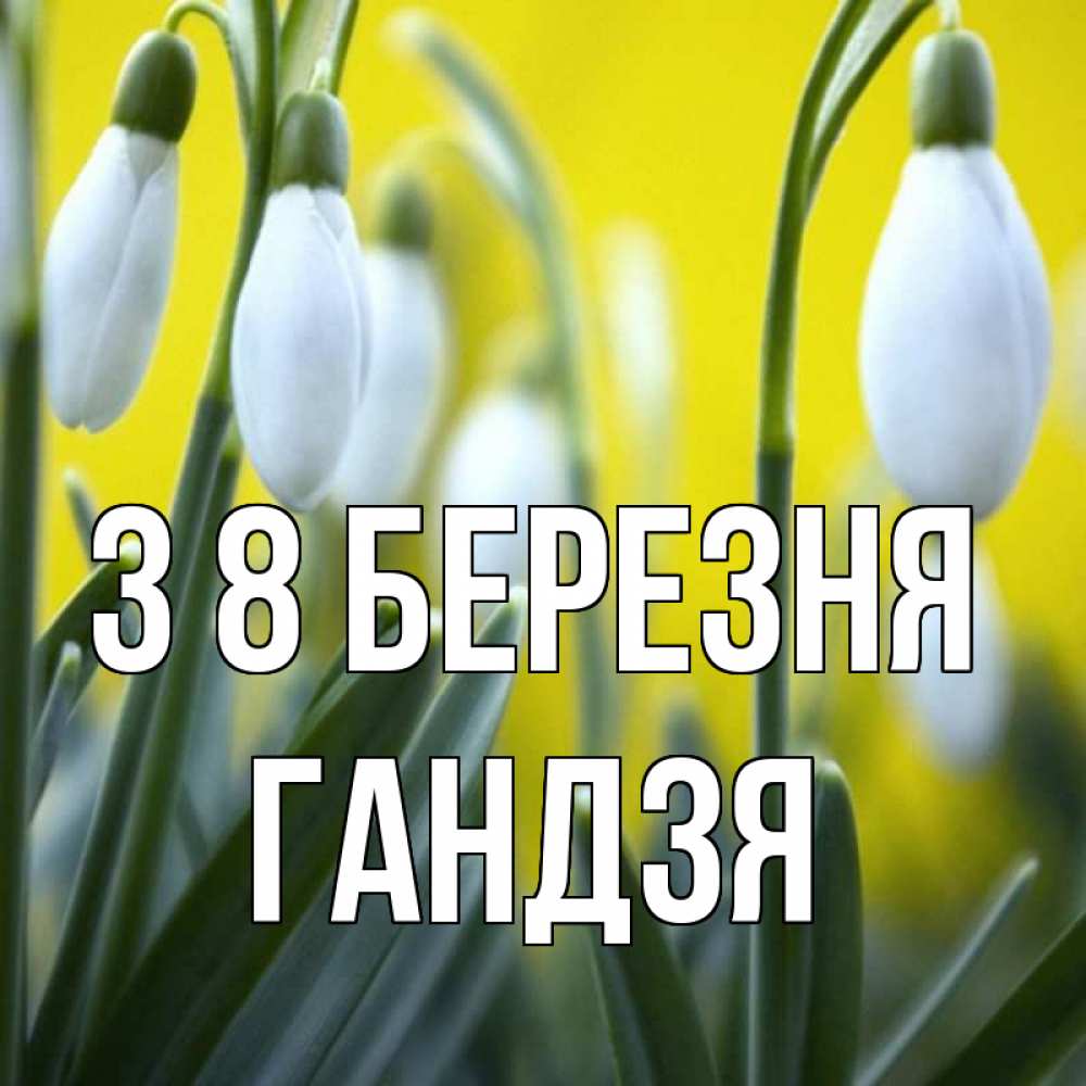 Открытка на каждый день з підписом, Гандзя З 8 БЕРЕЗНЯ весенние цветы Прикольна листівка з побажанням онлайн скачати безкоштовно 