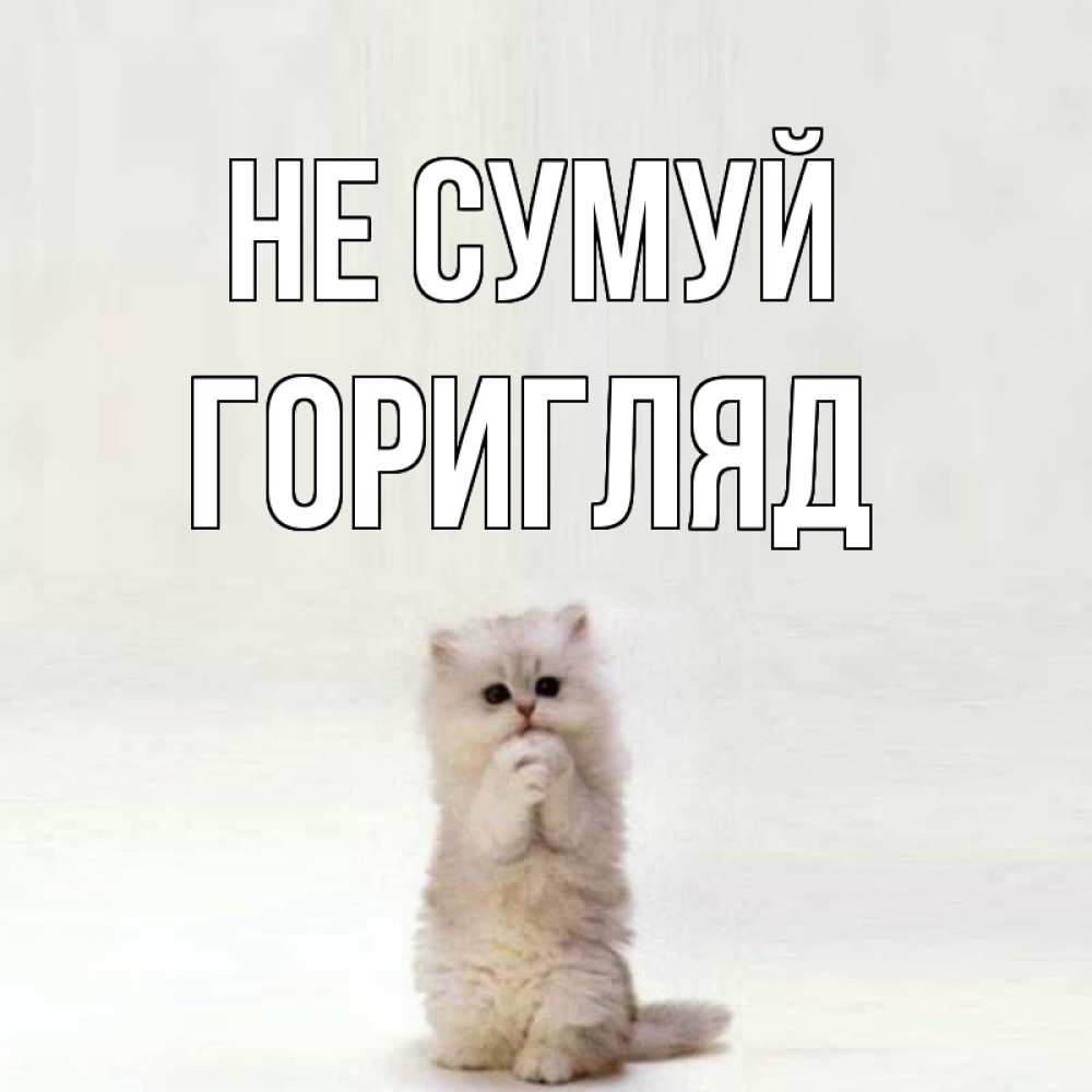 Открытка на каждый день з підписом, Горигляд Не сумуй грустный кот Прикольна листівка з побажанням онлайн скачати безкоштовно 
