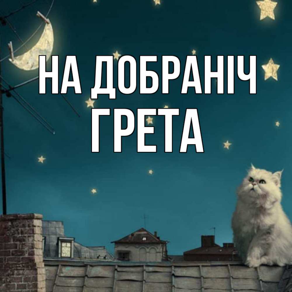 Открытка на каждый день з підписом, Грета На добраніч белый кот сидит на крыше Прикольна листівка з побажанням онлайн скачати безкоштовно 