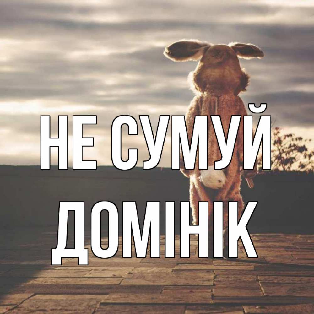 Открытка на каждый день з підписом, Домінік Не сумуй со спины Прикольна листівка з побажанням онлайн скачати безкоштовно 