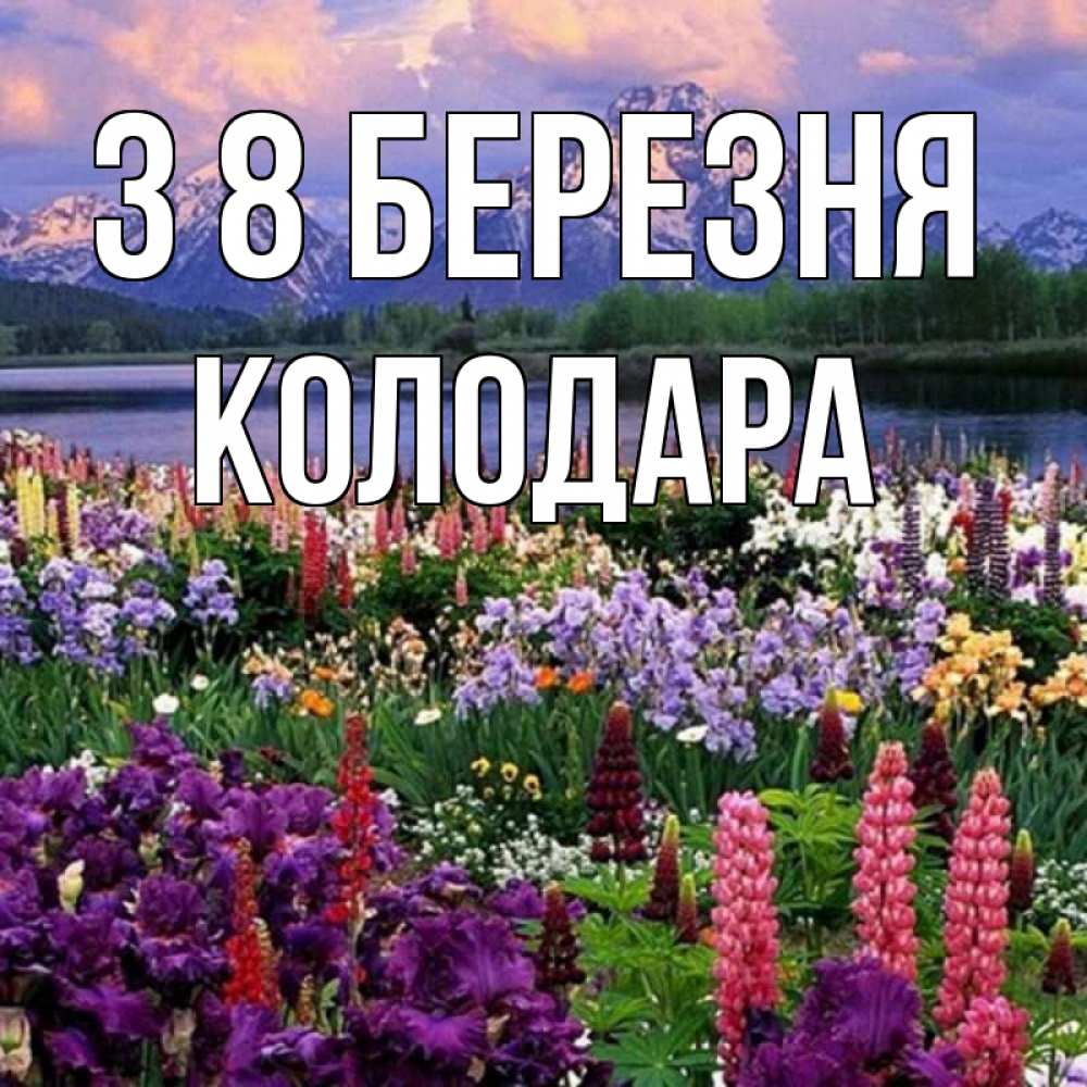 Открытка на каждый день з підписом, Колодара З 8 БЕРЕЗНЯ международный женский день Прикольна листівка з побажанням онлайн скачати безкоштовно 