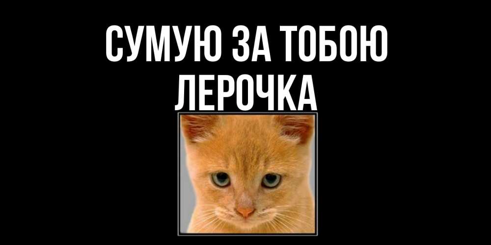 Открытка на каждый день з підписом, Лерочка Сумую за тобою открытки рыжий котенок скучает по тебе Прикольна листівка з побажанням онлайн скачати безкоштовно 
