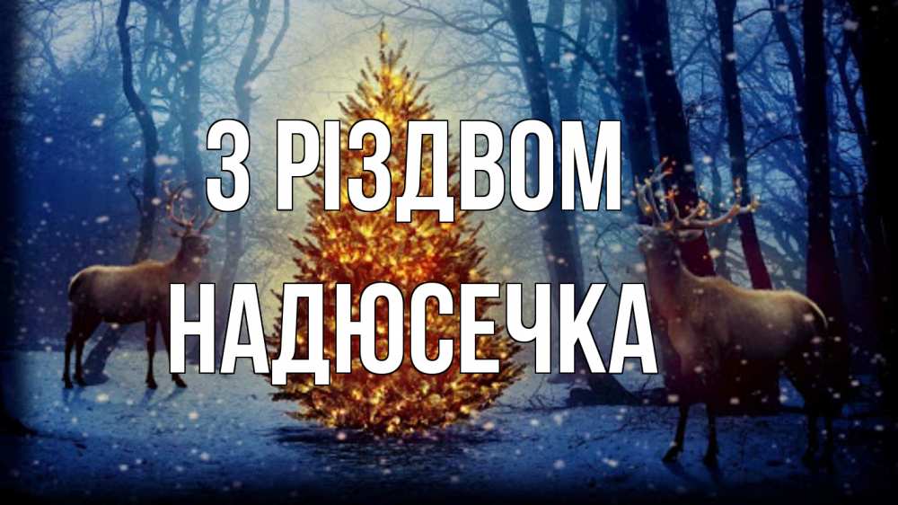 Открытка на каждый день з підписом, Надюсечка З Різдвом олени, новогодняя елка Прикольна листівка з побажанням онлайн скачати безкоштовно 