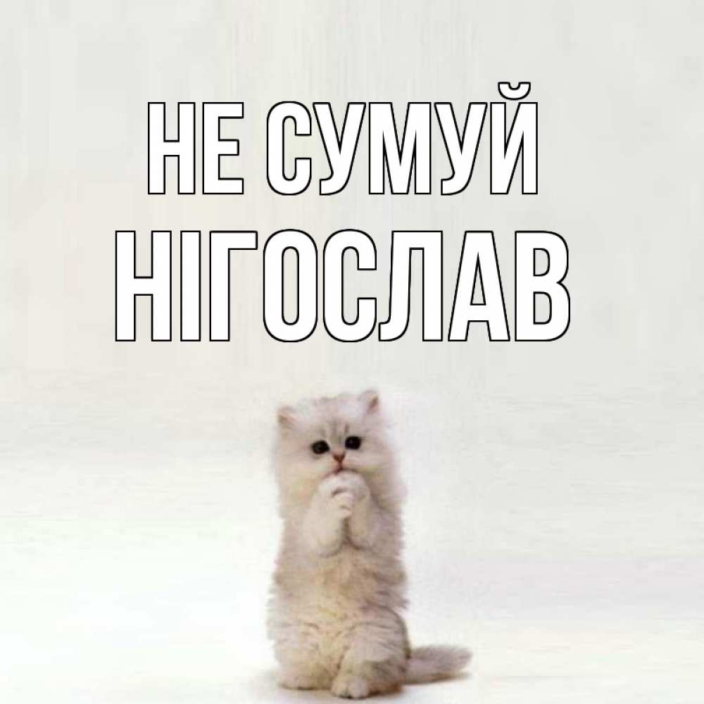 Открытка на каждый день з підписом, Нігослав Не сумуй грустный кот Прикольна листівка з побажанням онлайн скачати безкоштовно 