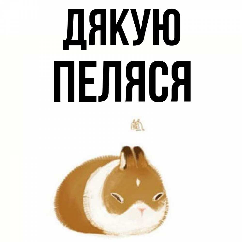 Открытка на каждый день з підписом, Пеляся Дякую коричнево белый домашний питомец Прикольна листівка з побажанням онлайн скачати безкоштовно 