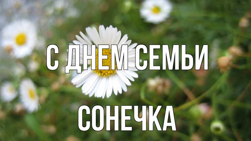 Открытка на каждый день з підписом, Сонечка С днем семьи с днем семьи Прикольна листівка з побажанням онлайн скачати безкоштовно 