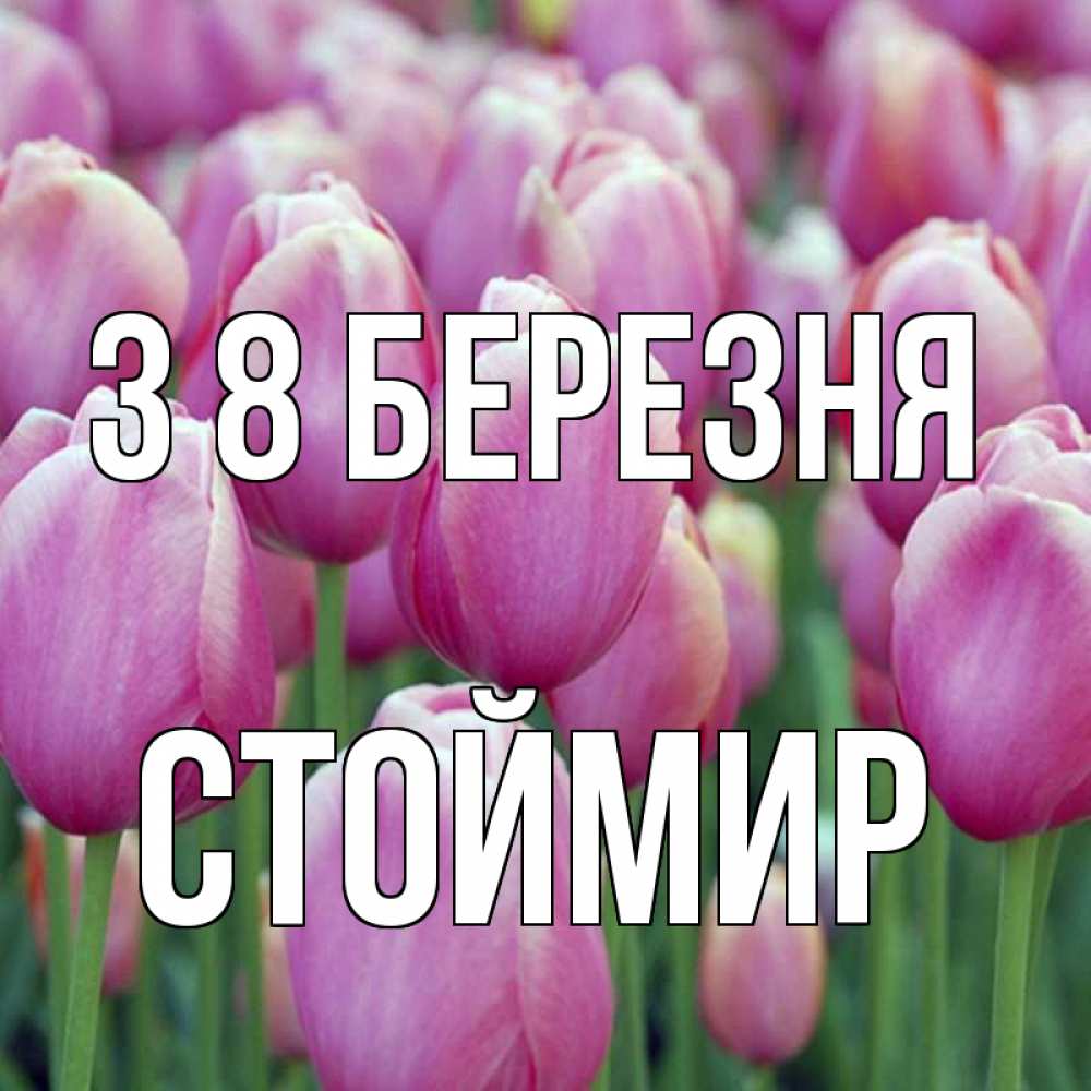 Открытка на каждый день з підписом, Стоймир З 8 БЕРЕЗНЯ на международный женский день 3 Прикольна листівка з побажанням онлайн скачати безкоштовно 