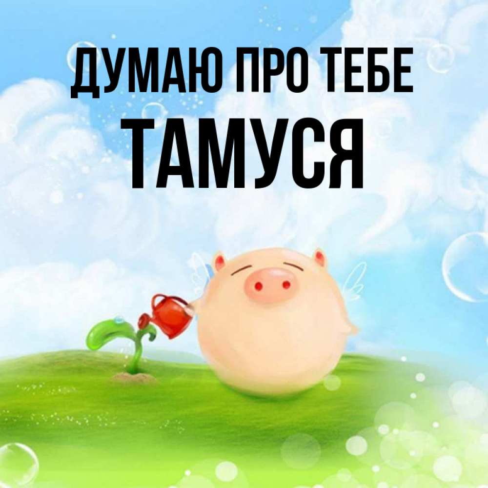 Открытка на каждый день з підписом, Тамуся Думаю про тебе позитивная свинюшка Прикольна листівка з побажанням онлайн скачати безкоштовно 