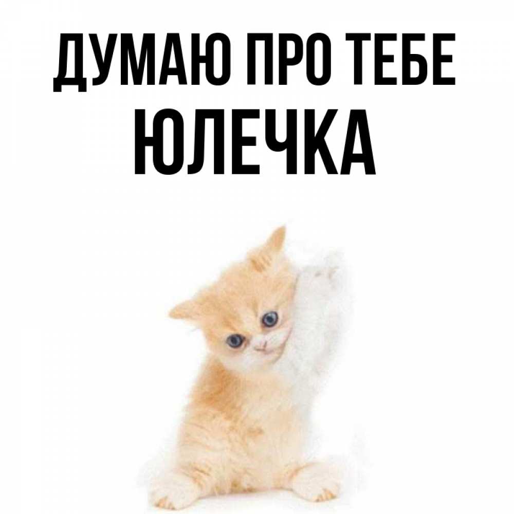 Открытка на каждый день з підписом, Юлечка Думаю про тебе зверушки и милота Прикольна листівка з побажанням онлайн скачати безкоштовно 