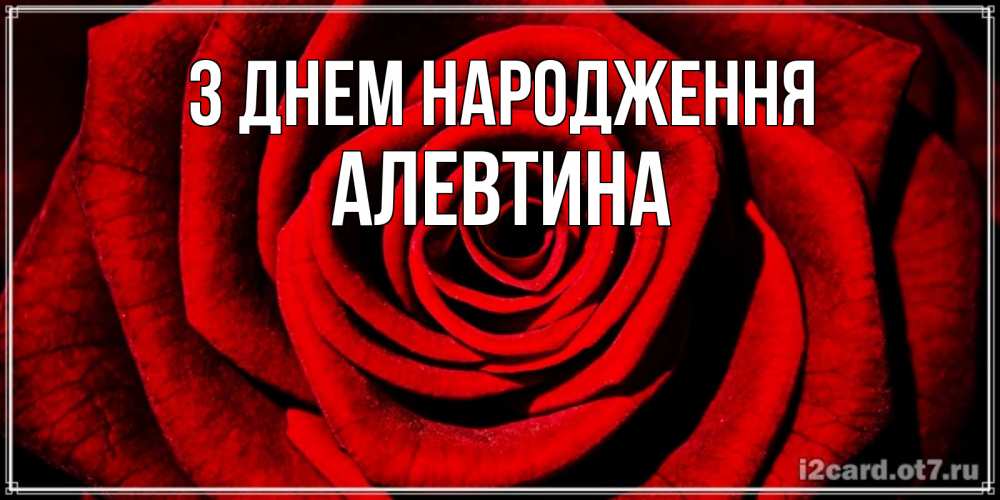 Открытка на каждый день з підписом, Алевтина З Днем народження алая роза Прикольна листівка з побажанням онлайн скачати безкоштовно 
