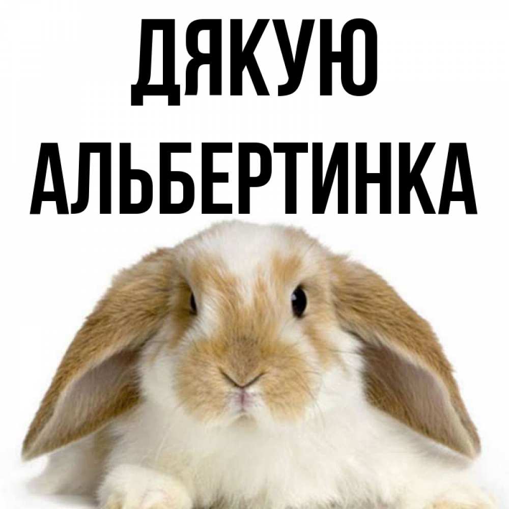 Открытка на каждый день з підписом, Альбертинка Дякую коричнево белый заяц Прикольна листівка з побажанням онлайн скачати безкоштовно 