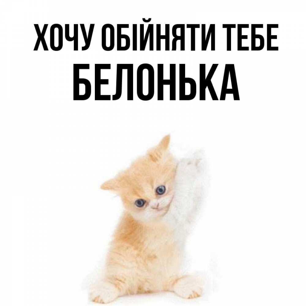Открытка на каждый день з підписом, Белонька Хочу обійняти тебе я хочу очень скорее обнимаешек Прикольна листівка з побажанням онлайн скачати безкоштовно 