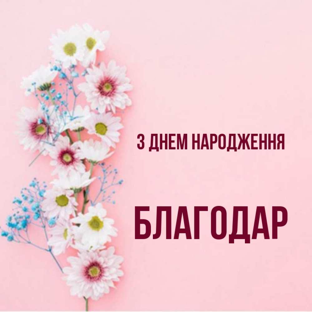 Открытка на каждый день з підписом, Благодар З Днем народження Родная моя с днем рождения тебя картинка с цветами белыми и голубыми Прикольна листівка з побажанням онлайн скачати безкоштовно 