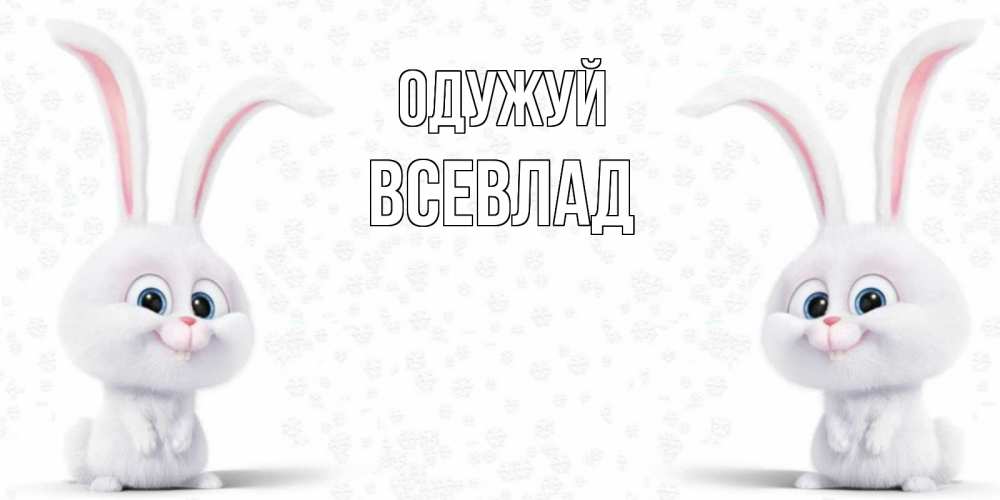Открытка на каждый день з підписом, Всевлад Одужуй не болей с зайцем Прикольна листівка з побажанням онлайн скачати безкоштовно 