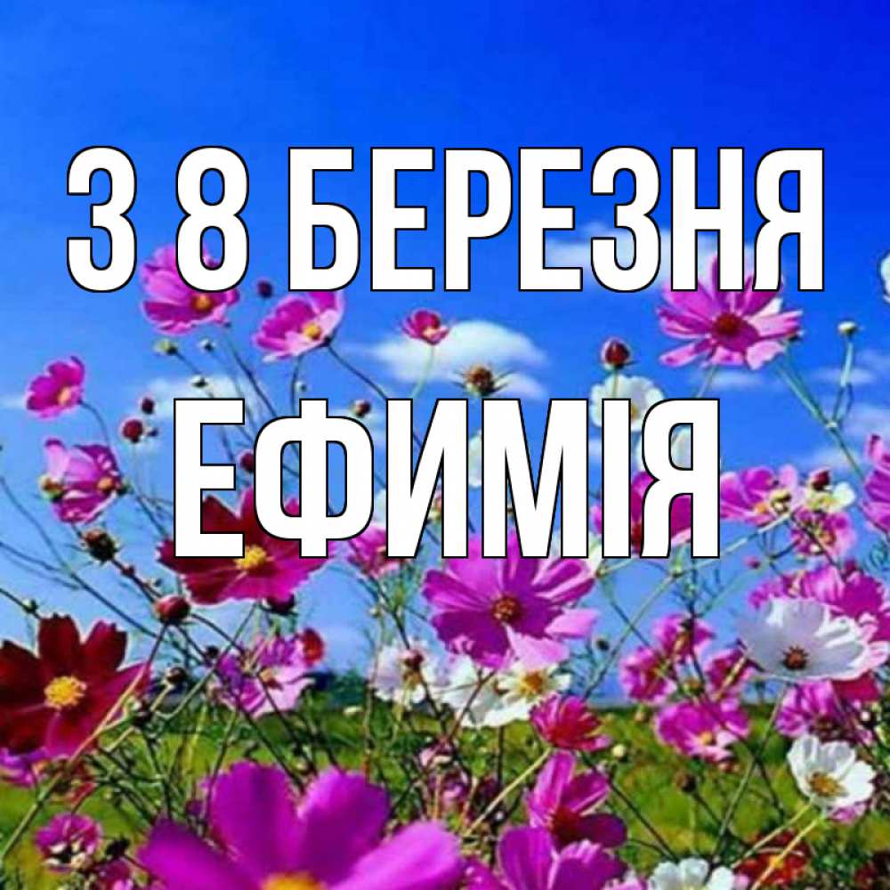 Открытка на каждый день з підписом, Ефимія З 8 БЕРЕЗНЯ цветы Прикольна листівка з побажанням онлайн скачати безкоштовно 