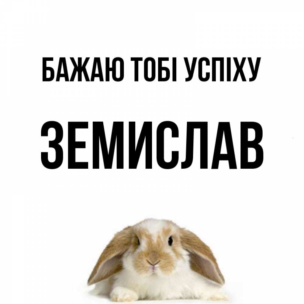 Открытка на каждый день з підписом, Земислав Бажаю тобі успіху открытки с произвольным текстом который можно вставить в открытку и создать ее самостоятельно бесплатно онлайн Прикольна листівка з побажанням онлайн скачати безкоштовно 