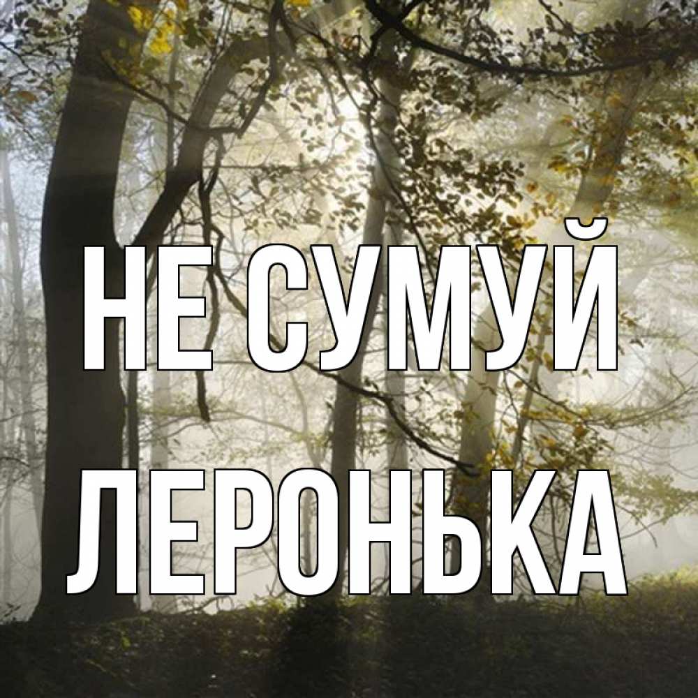 Открытка на каждый день з підписом, Леронька Не сумуй лес и свет Прикольна листівка з побажанням онлайн скачати безкоштовно 