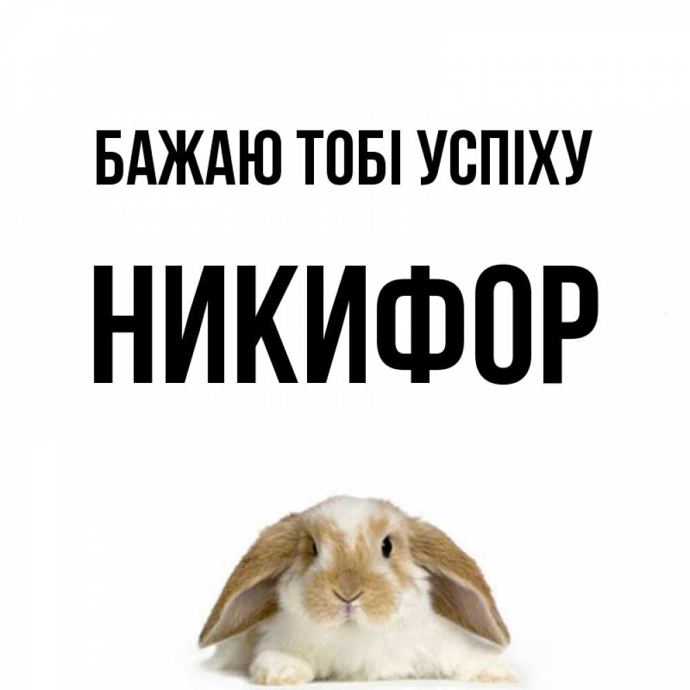 Открытка на каждый день з підписом, Никифор Бажаю тобі успіху открытки с произвольным текстом который можно вставить в открытку и создать ее самостоятельно бесплатно онлайн Прикольна листівка з побажанням онлайн скачати безкоштовно 