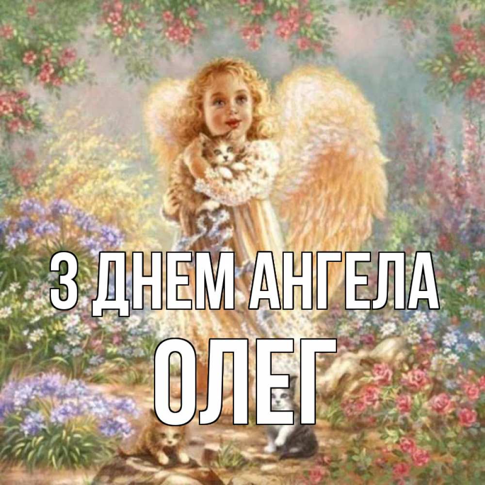 Открытка на каждый день з підписом, Олег З Днем ангела держит котенка Прикольна листівка з побажанням онлайн скачати безкоштовно 