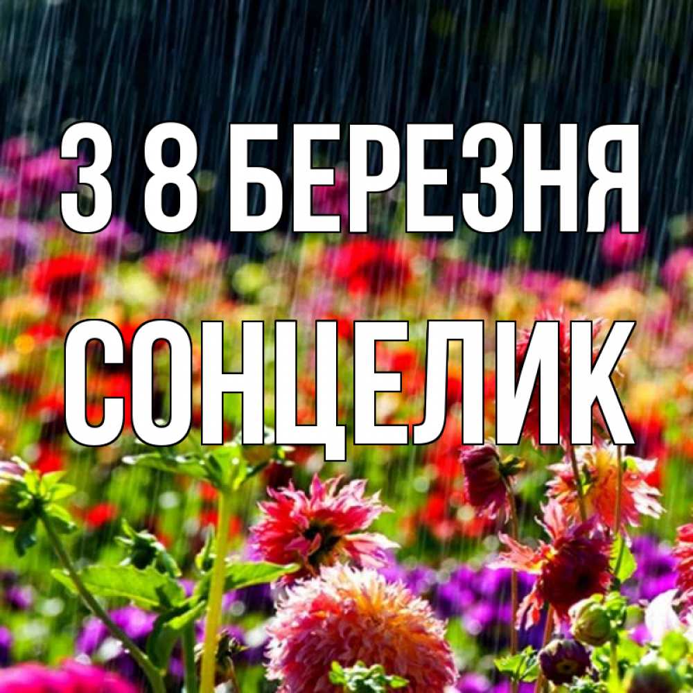 Открытка на каждый день з підписом, Сонцелик З 8 БЕРЕЗНЯ цветы под дождиком к международному женскому дню Прикольна листівка з побажанням онлайн скачати безкоштовно 