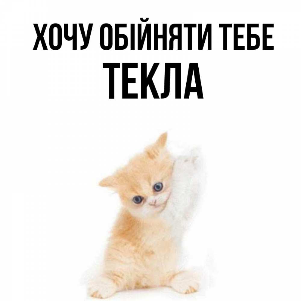 Открытка на каждый день з підписом, Текла Хочу обійняти тебе я хочу очень скорее обнимаешек Прикольна листівка з побажанням онлайн скачати безкоштовно 