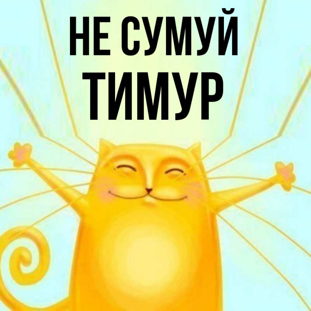 Открытка на каждый день з підписом, Тимур Не сумуй обнимашки усатые Прикольна листівка з побажанням онлайн скачати безкоштовно 