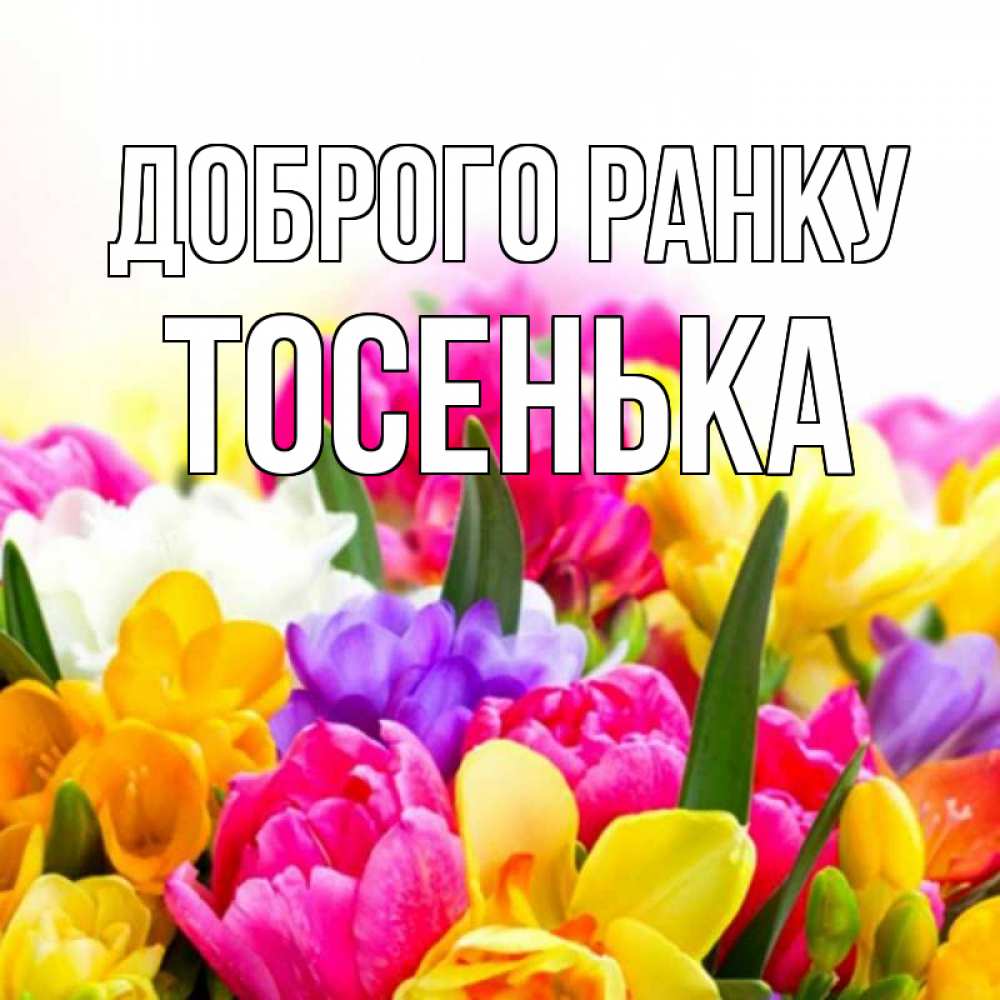 Открытка на каждый день з підписом, Тосенька Доброго ранку создать открытку со свое подписью Прикольна листівка з побажанням онлайн скачати безкоштовно 