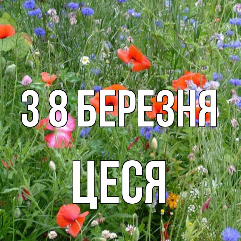 Открытка на каждый день з підписом, Цеся З 8 БЕРЕЗНЯ международный женский день 4 Прикольна листівка з побажанням онлайн скачати безкоштовно 