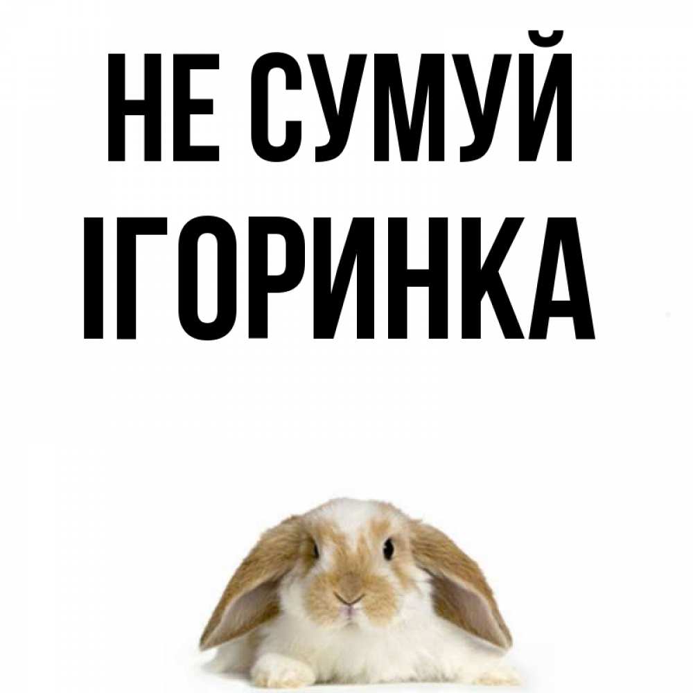 Открытка на каждый день з підписом, Ігоринка Не сумуй коричнево белый заяц с большими ушками Прикольна листівка з побажанням онлайн скачати безкоштовно 