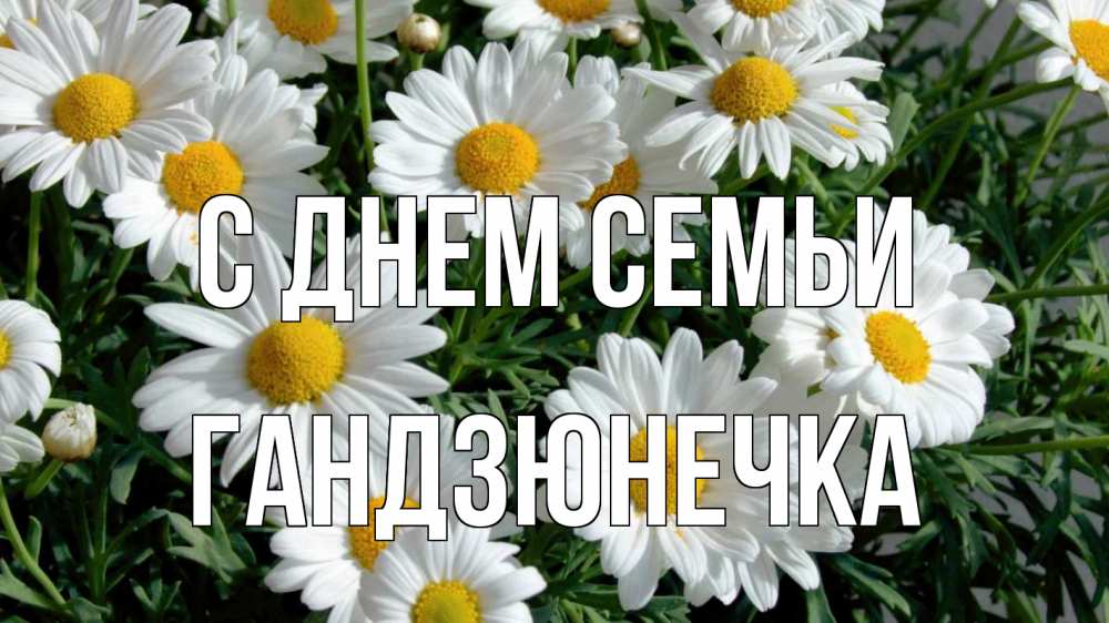 Открытка на каждый день з підписом, Гандзюнечка С днем семьи с днем семьи Прикольна листівка з побажанням онлайн скачати безкоштовно 
