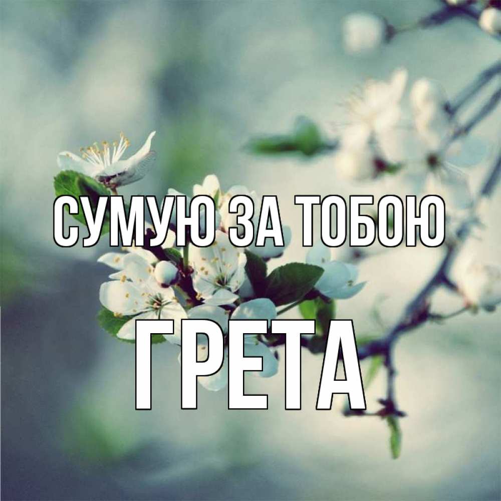 Открытка на каждый день з підписом, Грета Сумую за тобою весна Прикольна листівка з побажанням онлайн скачати безкоштовно 