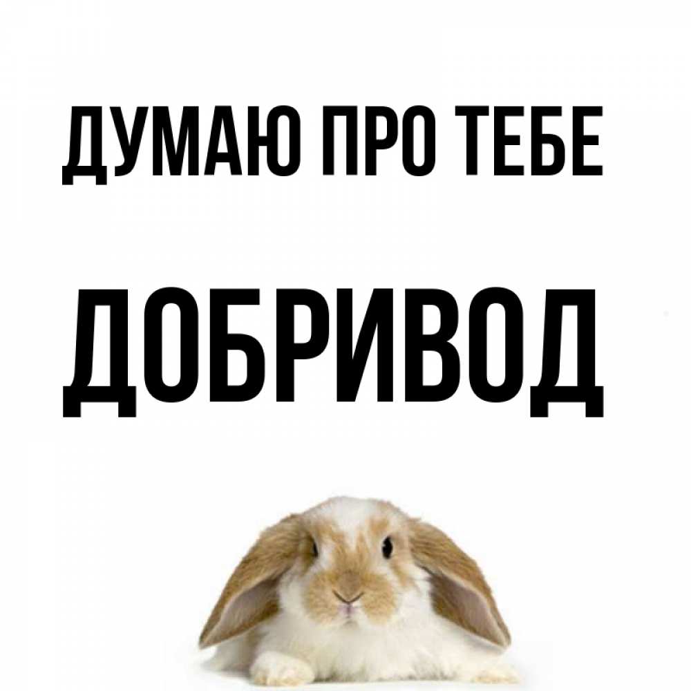 Открытка на каждый день з підписом, Добривод Думаю про тебе подписать своими руками онлайн Прикольна листівка з побажанням онлайн скачати безкоштовно 