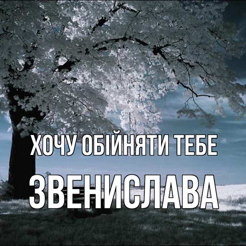 Открытка на каждый день з підписом, Звенислава Хочу обійняти тебе дерево Прикольна листівка з побажанням онлайн скачати безкоштовно 