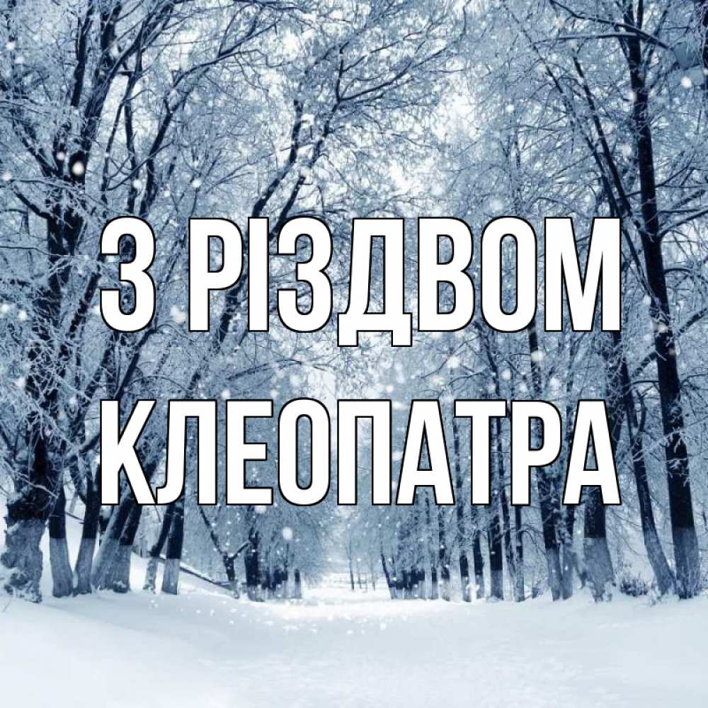 Открытка на каждый день з підписом, Клеопатра З Різдвом снег, лес, парк Прикольна листівка з побажанням онлайн скачати безкоштовно 