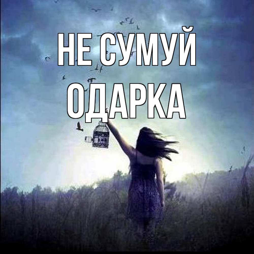 Открытка на каждый день з підписом, Одарка Не сумуй на волю Прикольна листівка з побажанням онлайн скачати безкоштовно 