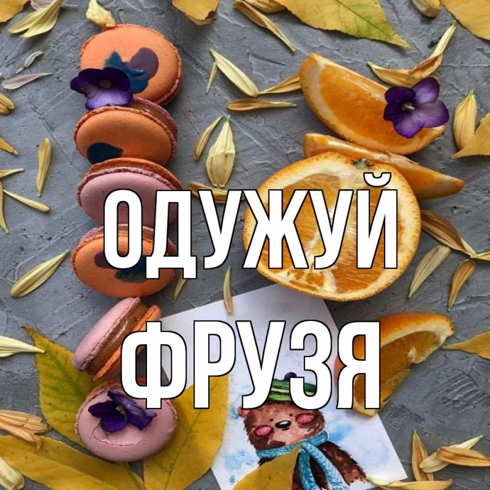 Открытка на каждый день з підписом, Фрузя Одужуй не болейте Прикольна листівка з побажанням онлайн скачати безкоштовно 