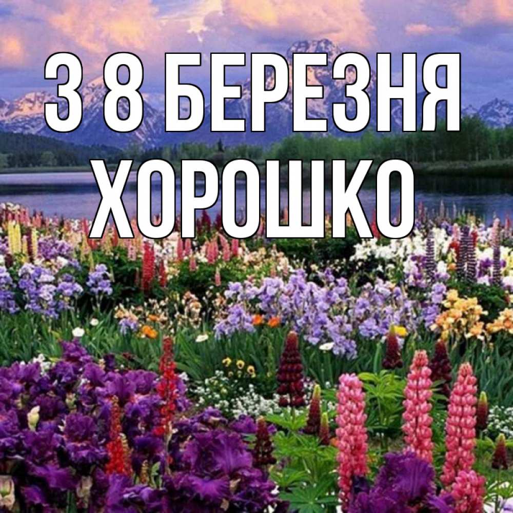 Открытка на каждый день з підписом, Хорошко З 8 БЕРЕЗНЯ международный женский день Прикольна листівка з побажанням онлайн скачати безкоштовно 