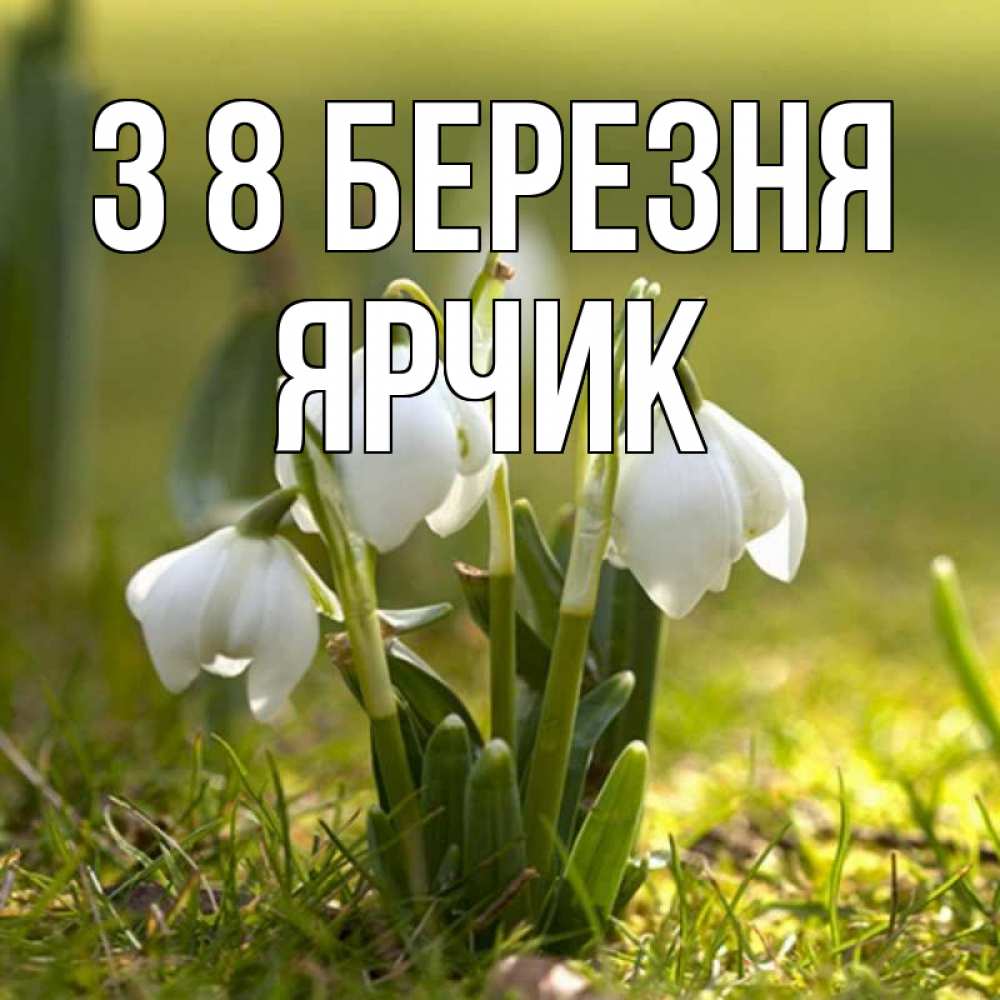 Открытка на каждый день з підписом, Ярчик З 8 БЕРЕЗНЯ ранние цветы 2 Прикольна листівка з побажанням онлайн скачати безкоштовно 