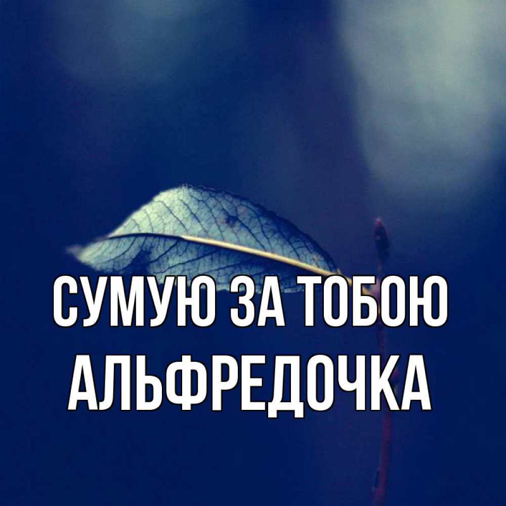 Открытка на каждый день з підписом, Альфредочка Сумую за тобою одна ветка 1 Прикольна листівка з побажанням онлайн скачати безкоштовно 