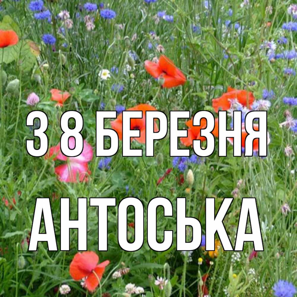 Открытка на каждый день з підписом, Антоська З 8 БЕРЕЗНЯ международный женский день 4 Прикольна листівка з побажанням онлайн скачати безкоштовно 