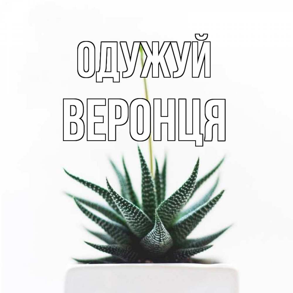 Открытка на каждый день з підписом, Веронця Одужуй короче это непонятная колючка Прикольна листівка з побажанням онлайн скачати безкоштовно 